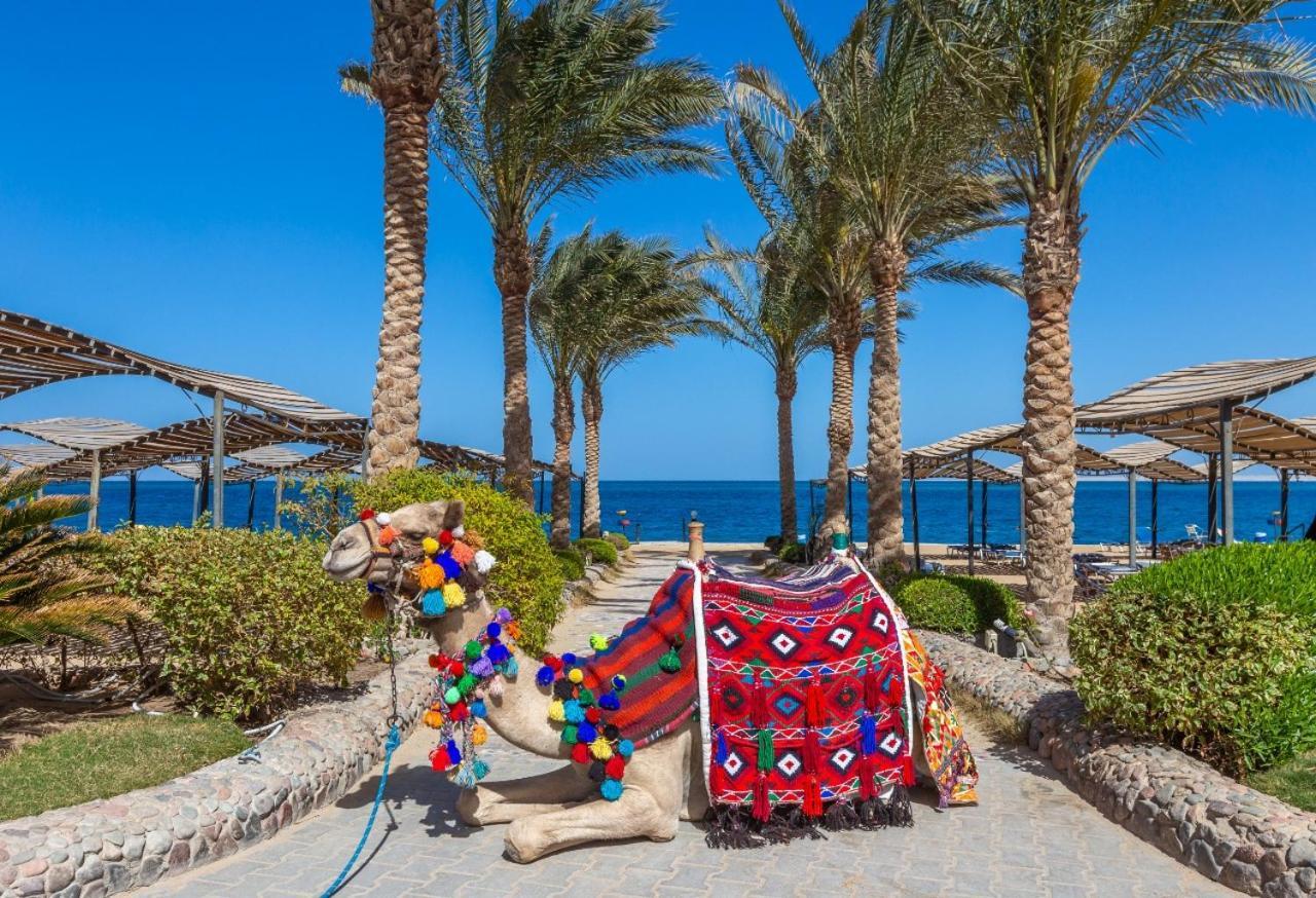 Sphinx Aqua Park Beach Resort Hurghada Exterior photo